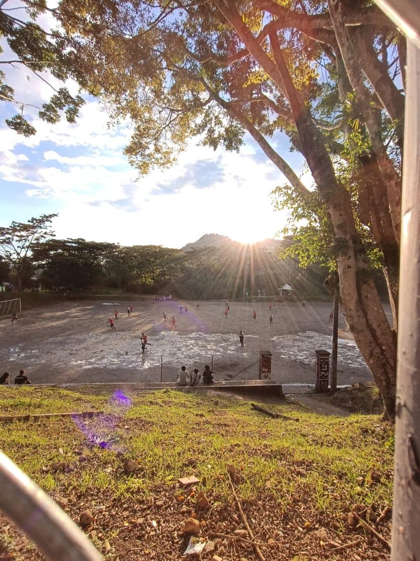 Celebración del equipo