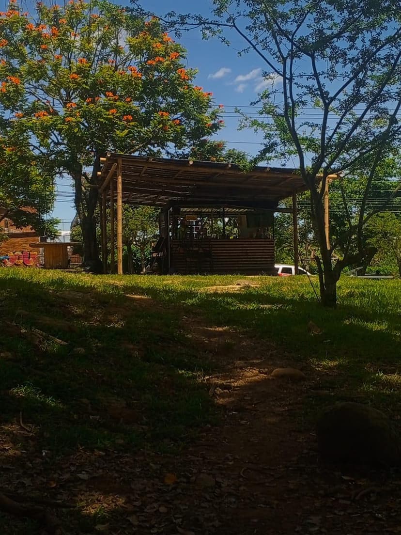 Aficionados y jugadores